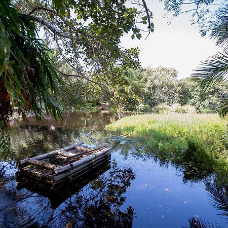 Royal Thonga Safari Lodge Sihangwane Exteriér fotografie