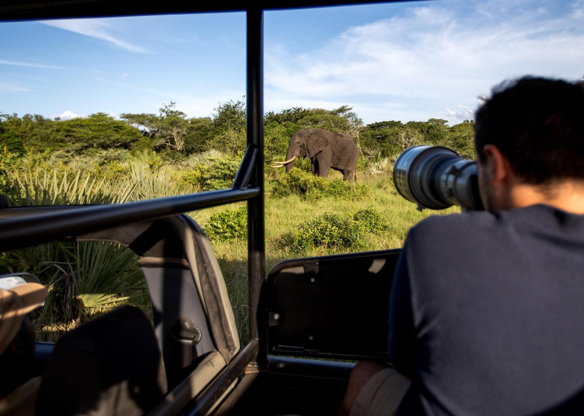 Royal Thonga Safari Lodge Sihangwane Exteriér fotografie