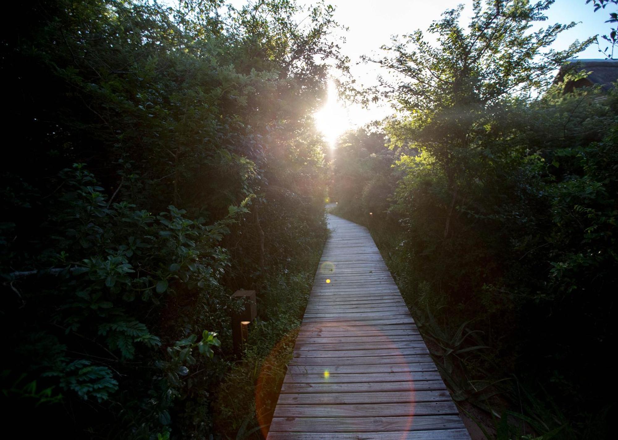 Royal Thonga Safari Lodge Sihangwane Exteriér fotografie