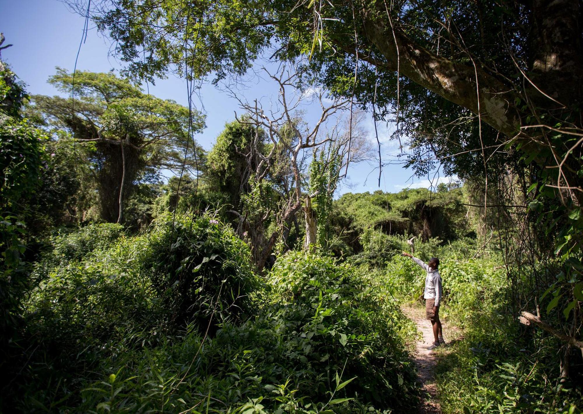 Royal Thonga Safari Lodge Sihangwane Exteriér fotografie